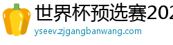 世界杯预选赛2024年赛程